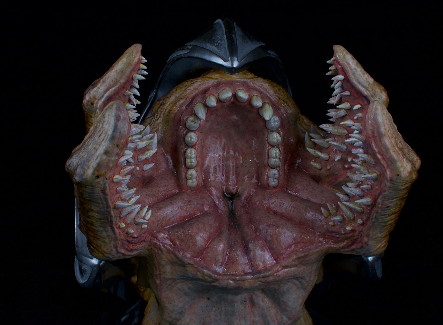 Lifesize Arbiter Halo 2 Anniversary Head Wallmount