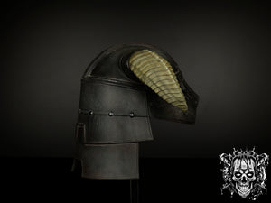 Dovahkiin Iron Helmet