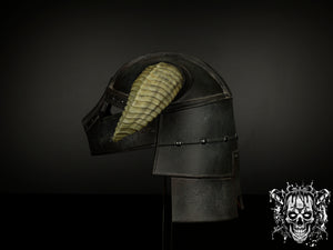 Dovahkiin Iron Helmet